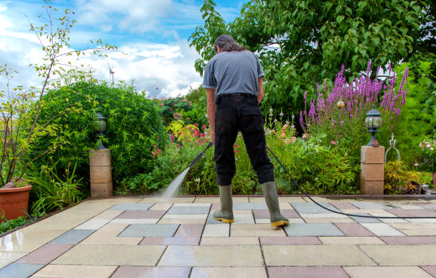 Best Animal Enclosure Cleaning  in Badieville, LA